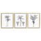 Stupell Industries Minimal Vintage Palm Tree Sketches 3pc Floating Frame Set, design by Lettered and Lined